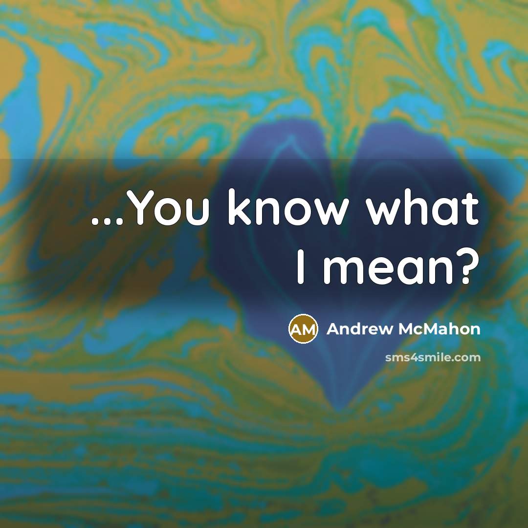 “...You know what I mean?…” quote by Andrew McMahon