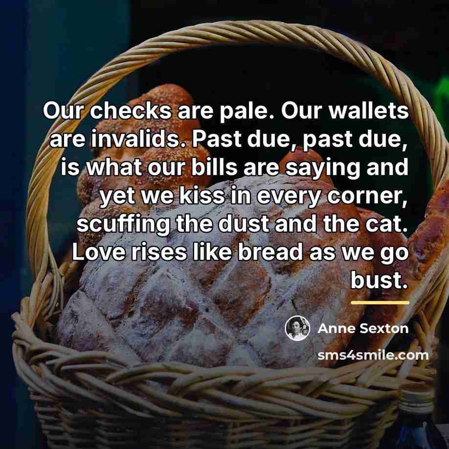 “Our checks are pale. Our wallets are invalids. Past due,…” quote by Anne Sexton