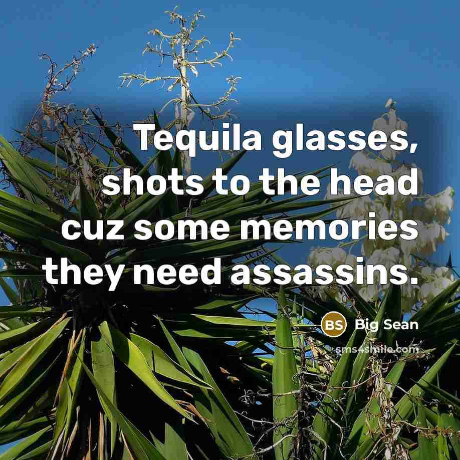 “Tequila glasses, shots to the head cuz some memories they…” quote by Big Sean
