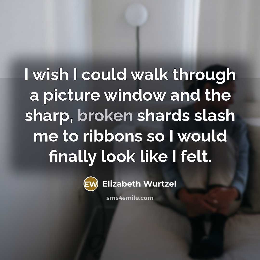 “I wish I could walk through a picture window and…” quote by Elizabeth Wurtzel