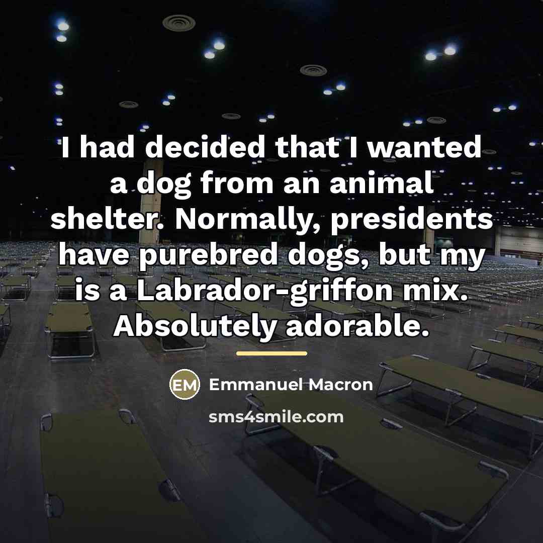“I had decided that I wanted a dog from an…” quote by Emmanuel Macron