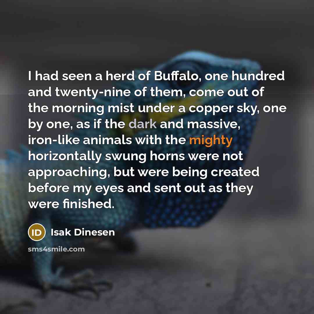 “I had seen a herd of Buffalo, one hundred and…” quote by Isak Dinesen
