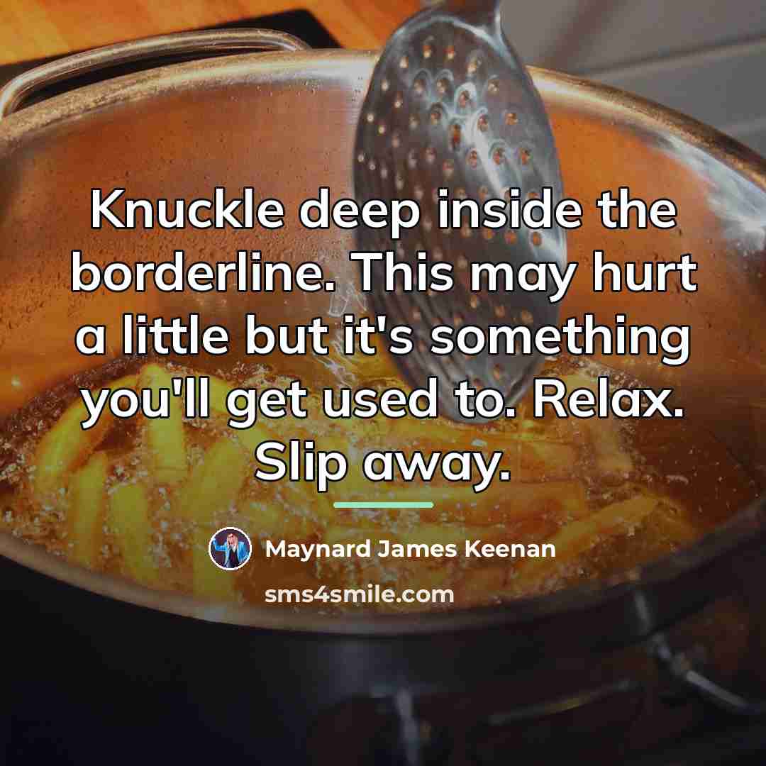 “Knuckle deep inside the borderline. This may hurt a little…” quote by Maynard James Keenan