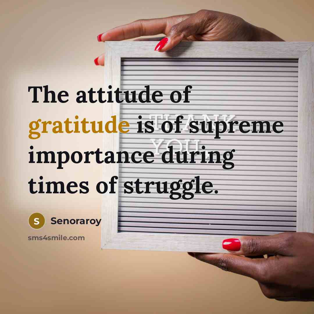 “The attitude of gratitude is of supreme importance during times…” quote by Senoraroy