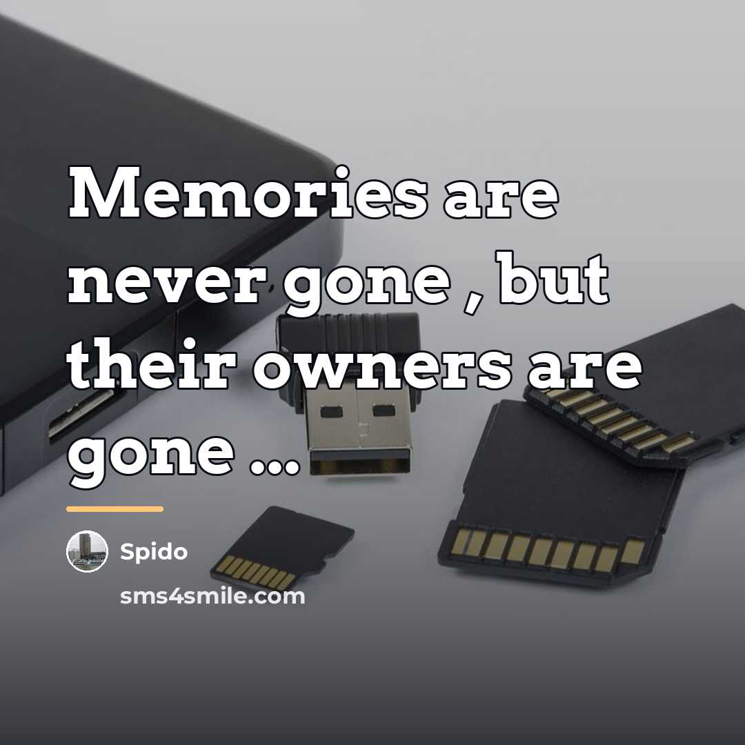 “Memories are never gone , but their owners are gone…” quote by Spido