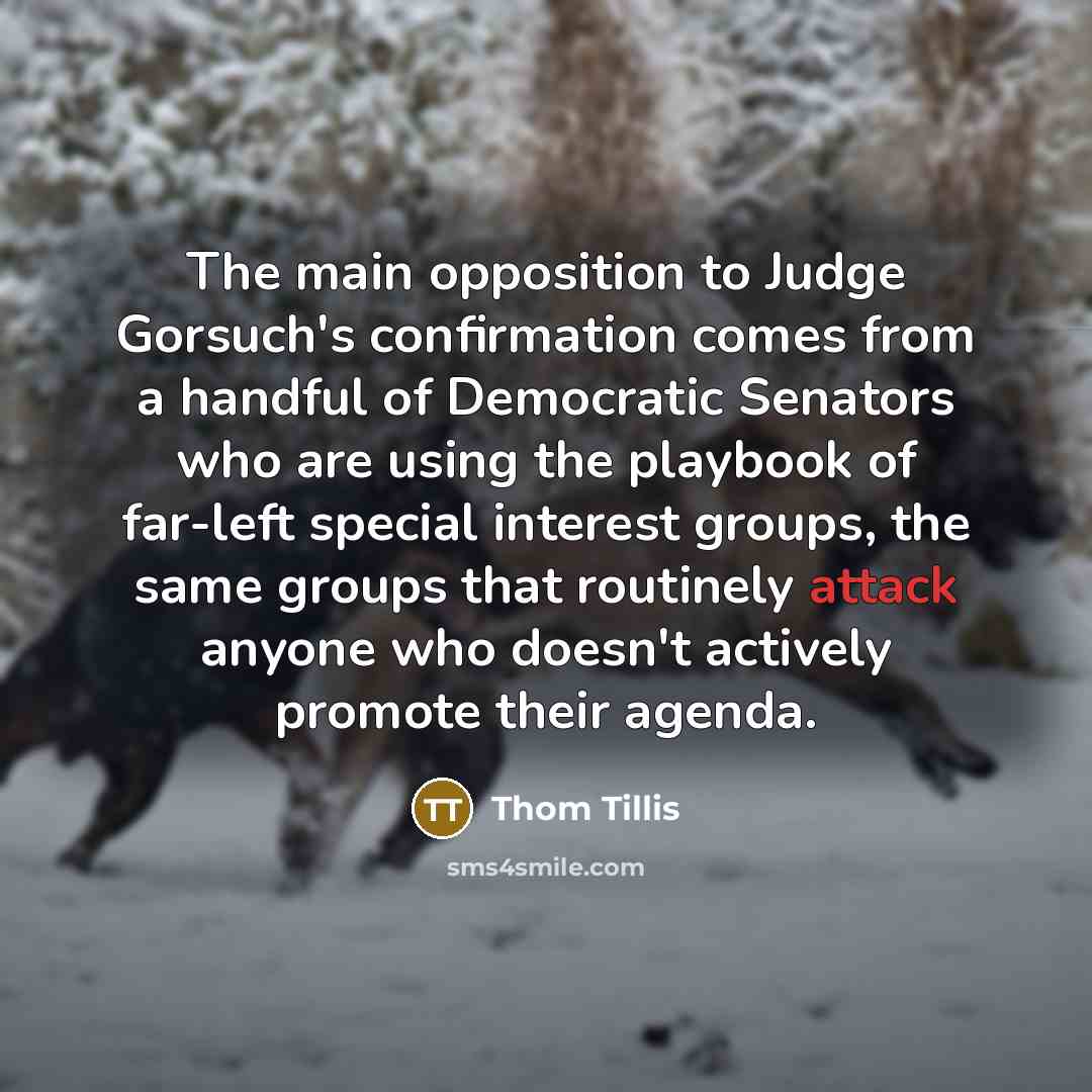“The main opposition to Judge Gorsuch's confirmation comes from a…” quote by Thom Tillis