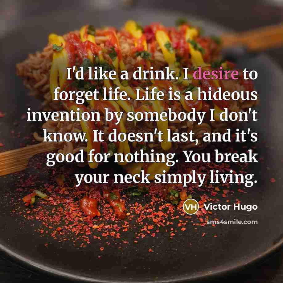 “I'd like a drink. I desire to forget life. Life…” quote by Victor Hugo