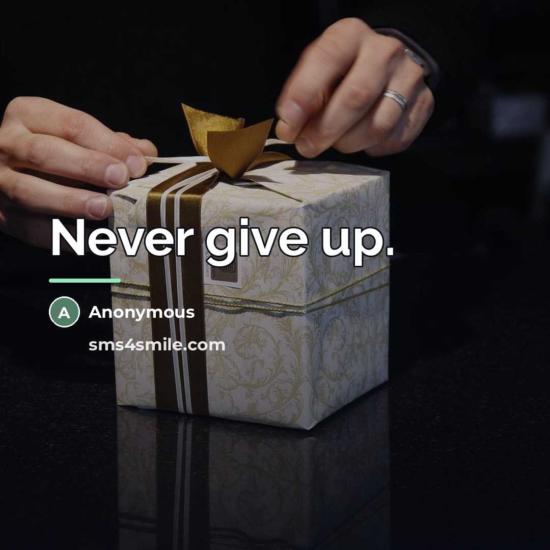 “Never give up.…” quote by Anonymous