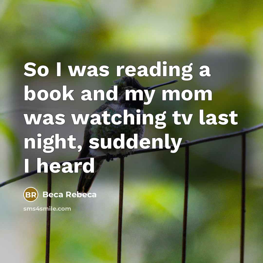 “So I was reading a book and my mom was watching tv last night, suddenly I heard” quote by Beca Rebeca