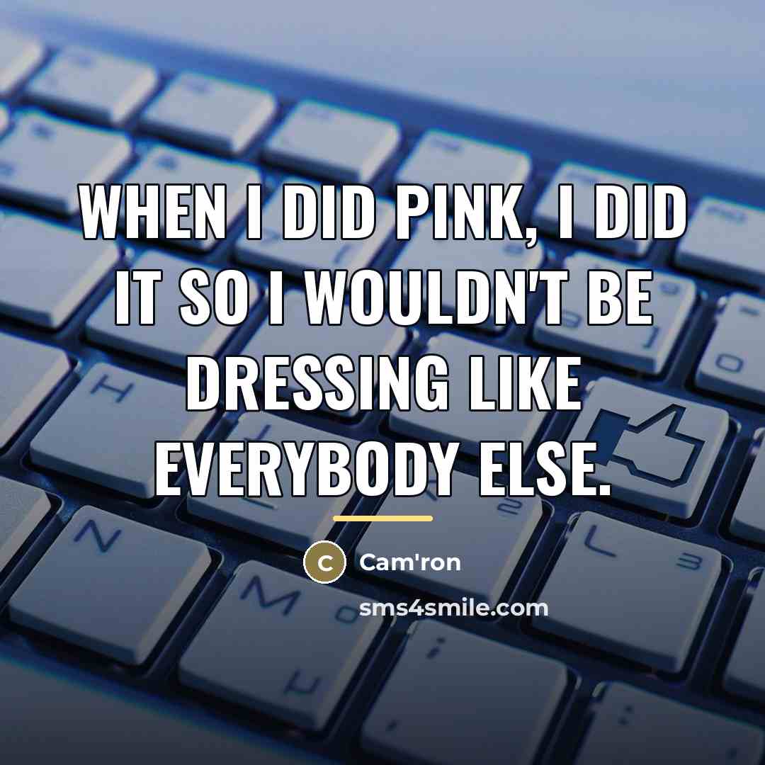 “When I did pink, I did it so I wouldn't…” quote by Cam'ron