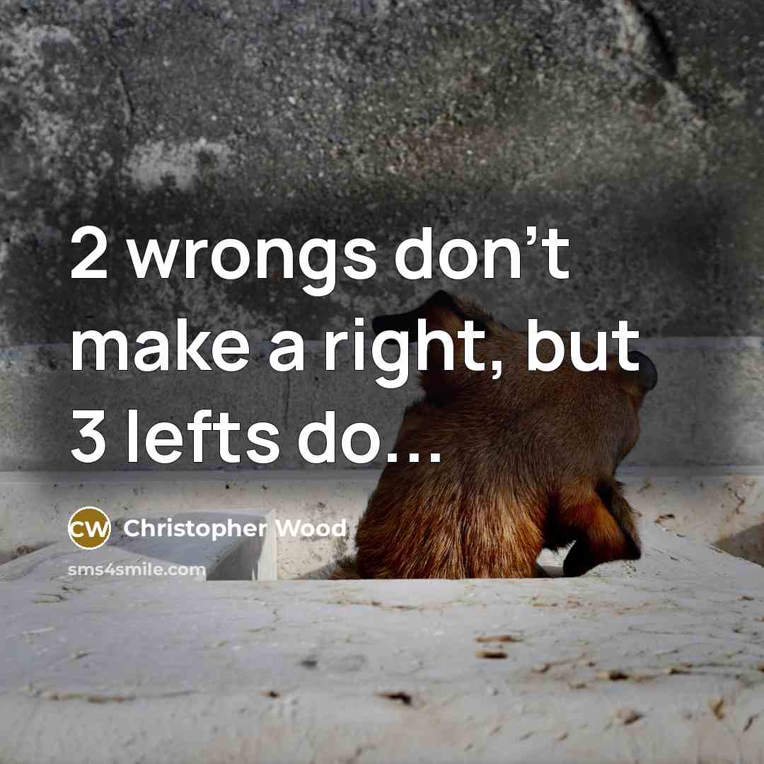 “2 wrongs don't make a right, but 3 lefts do...” quote by Christopher Wood