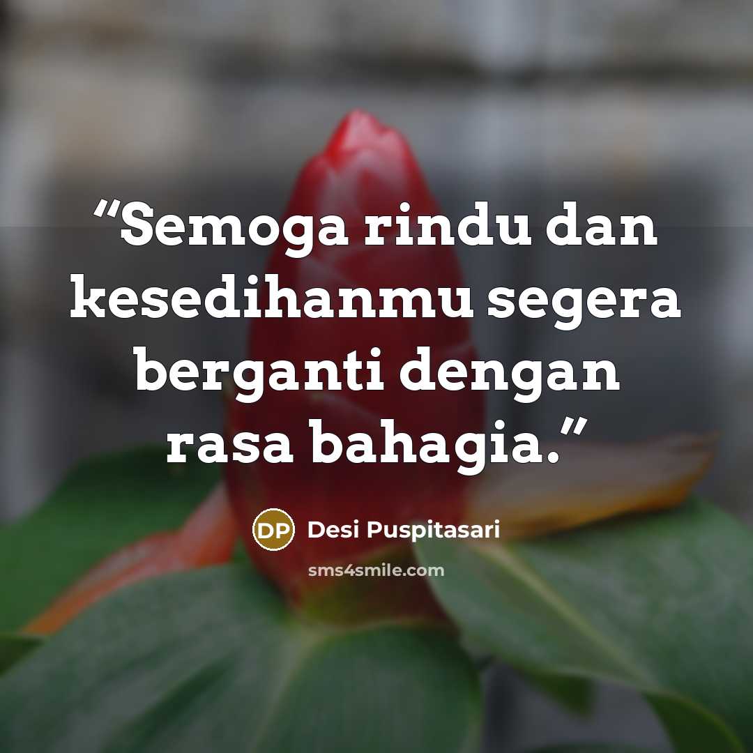 “Semoga rindu dan kesedihanmu segera berganti dengan rasa bahagia.” quote by Desi Puspitasari