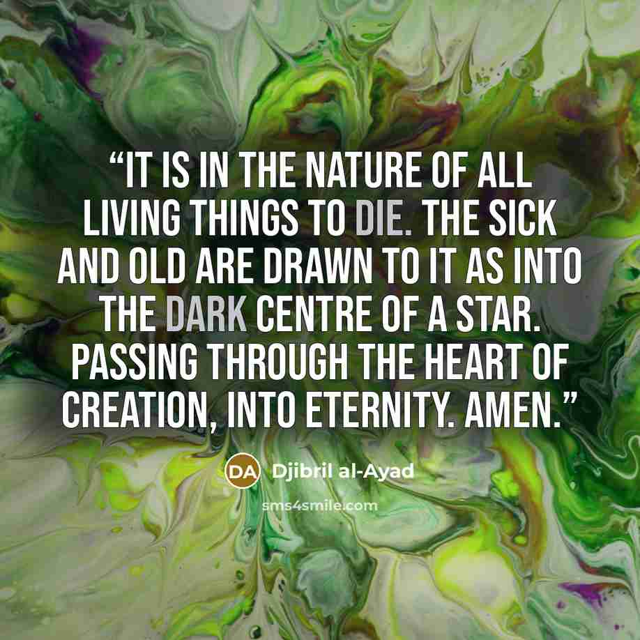 “It is in the nature of all living things to die. The sick and old are drawn to it as into the dark centre of a star. Passing through the heart of creation, into eternity. Amen.” quote by Djibril al-Ayad
