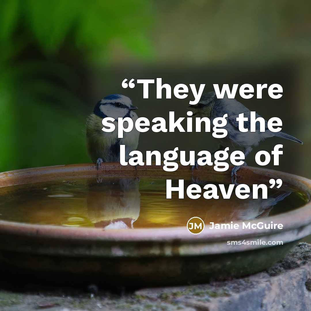 “They were speaking the language of Heaven” quote by Jamie McGuire