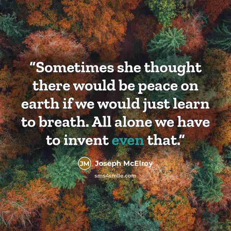 “Sometimes she thought there would be peace on earth if we would just learn to breath. All alone we have to invent even that.” quote by Joseph McElroy