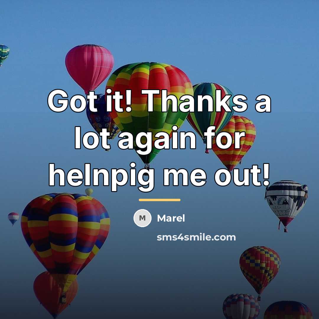 “Got it! Thanks a lot again for helnpig me out!…” quote by Marel