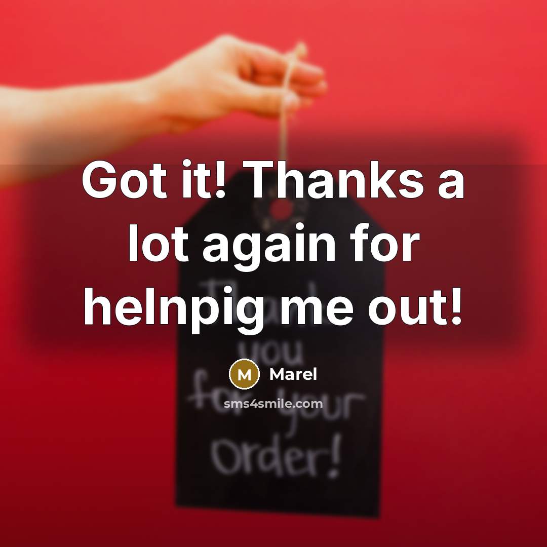 “Got it! Thanks a lot again for helnpig me out!” quote by Marel