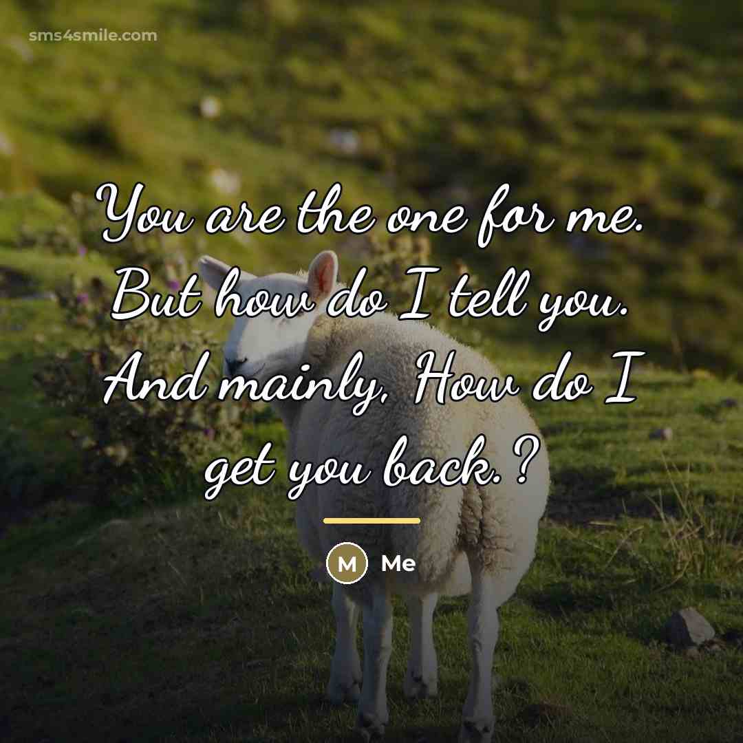 “You are the one for me. But how do I…” quote by Me