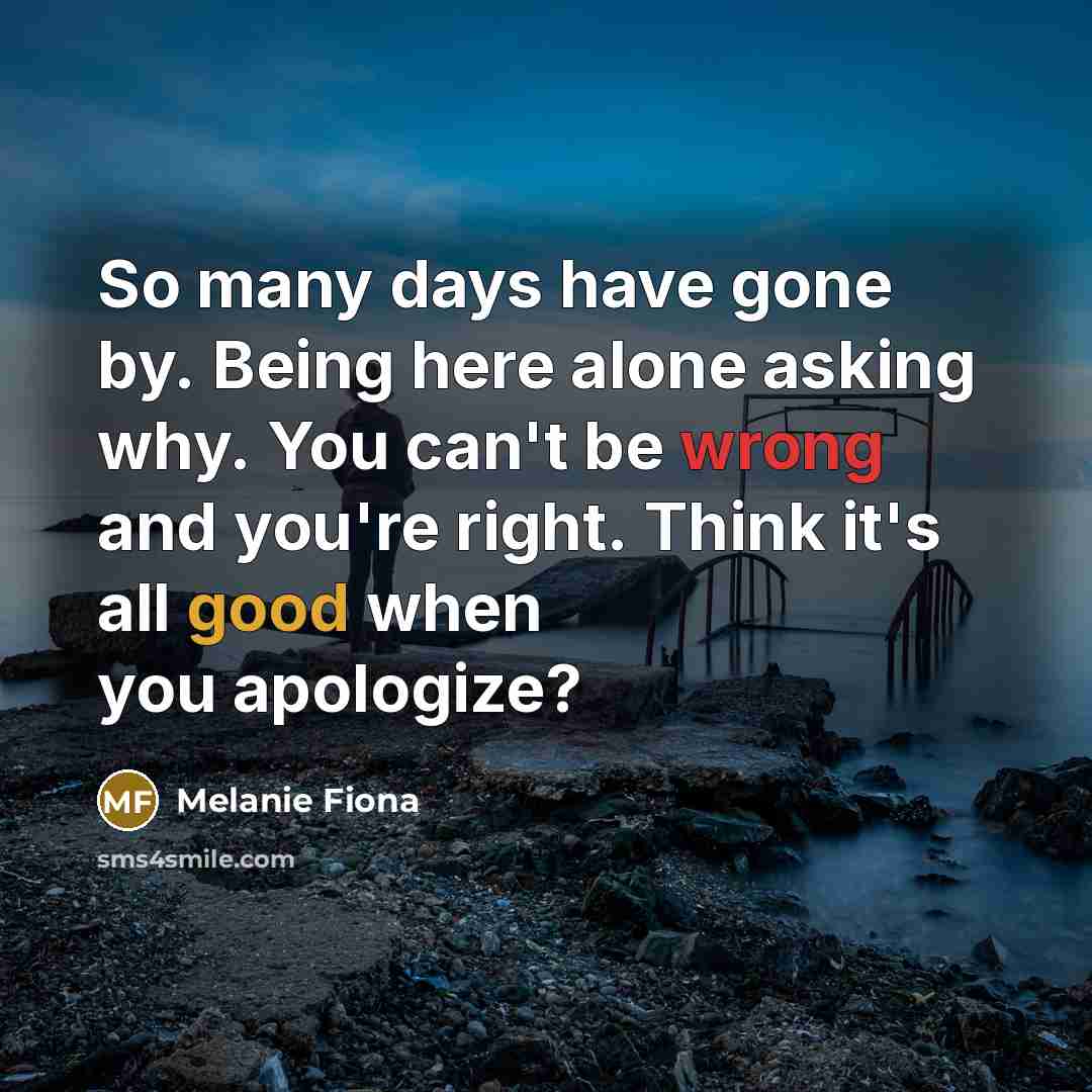 “So many days have gone by. Being here alone asking…” quote by Melanie Fiona