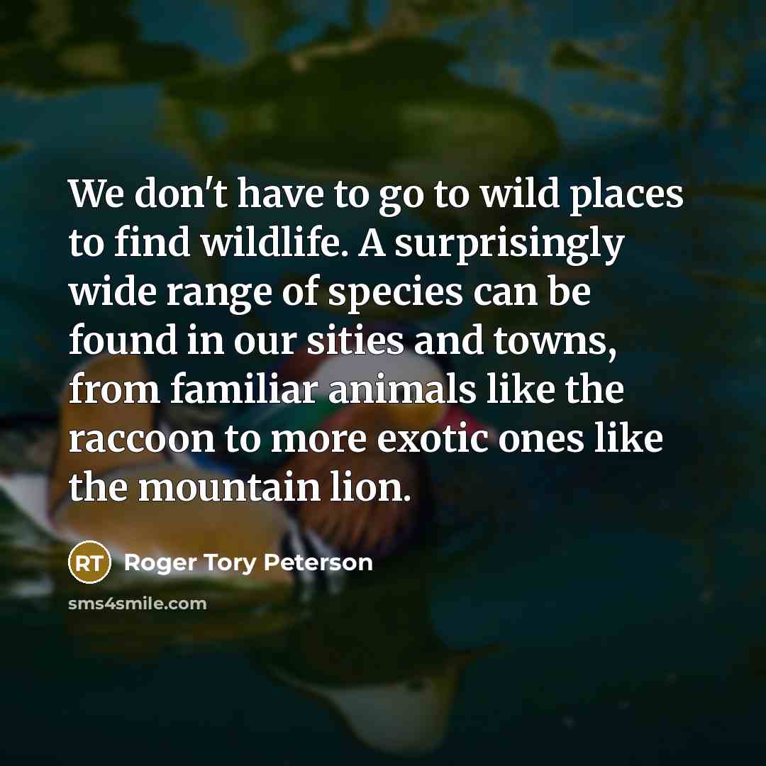 “We don't have to go to wild places to find…” quote by Roger Tory Peterson