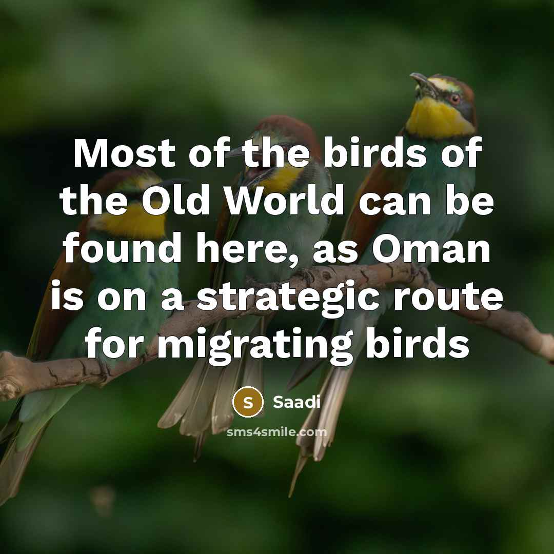 “Most of the birds of the Old World can be…” quote by Saadi