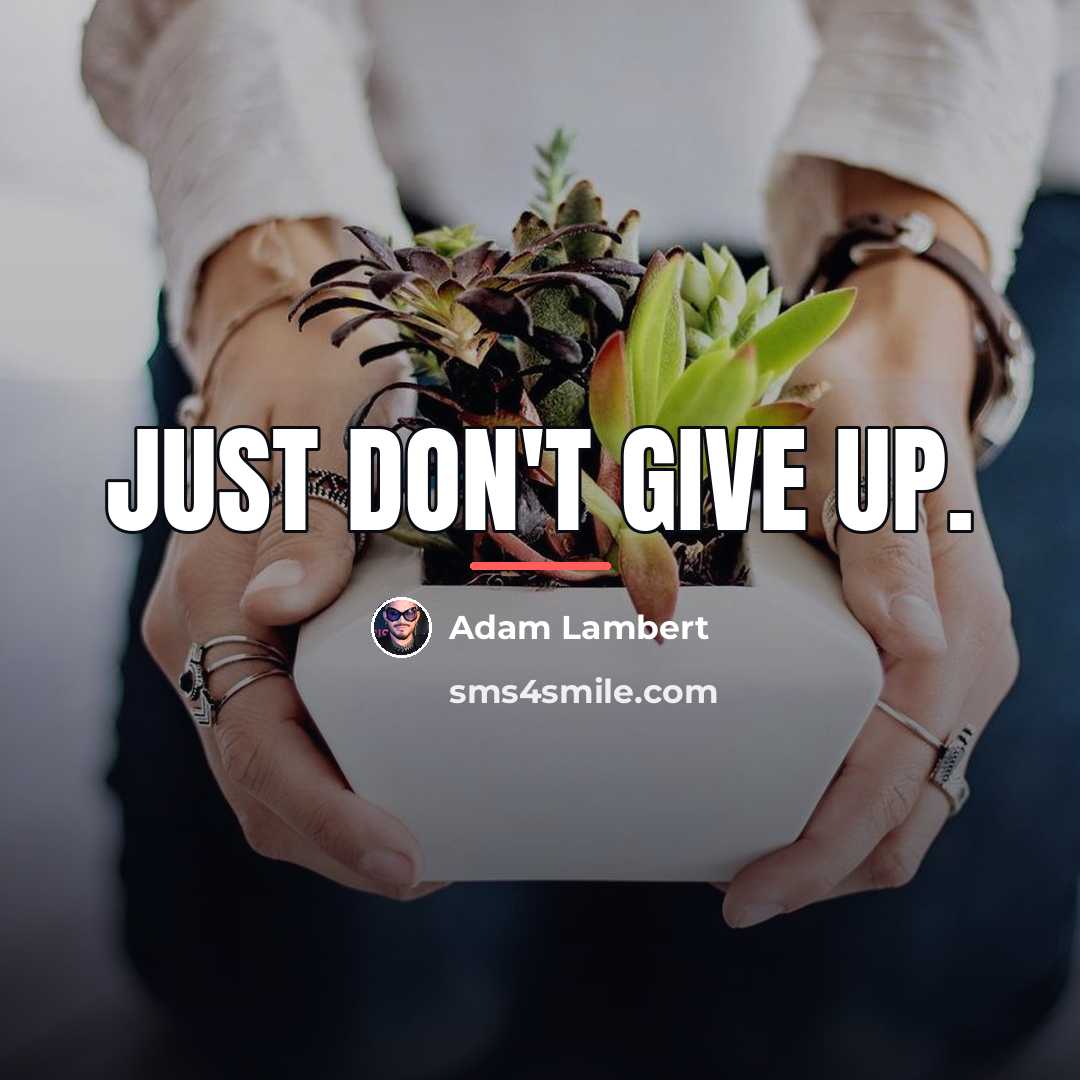 “Just don't give up.…” quote by Adam Lambert