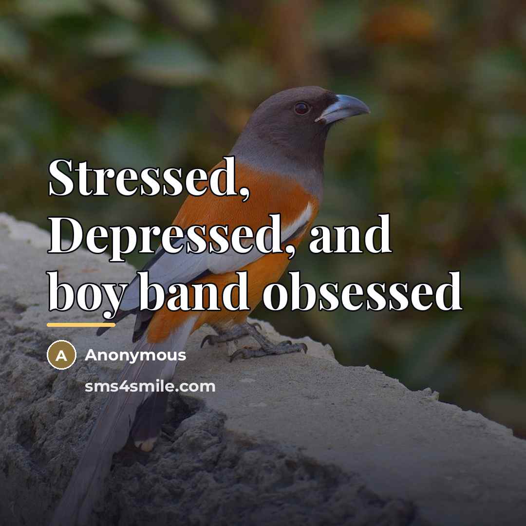“Stressed, Depressed, and boy band obsessed…” quote by Anonymous