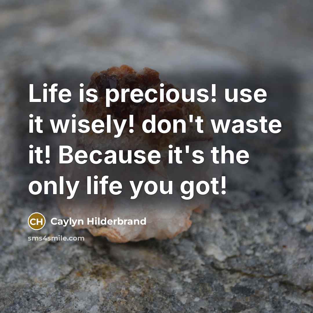 “Life is precious! use it wisely! don't waste it! Because…” quote by Caylyn Hilderbrand