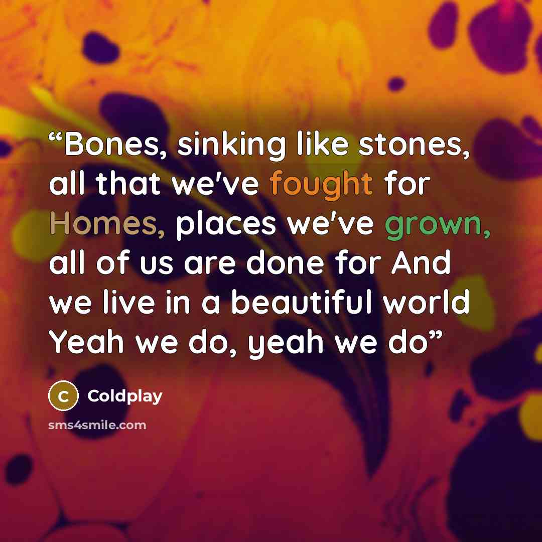 “Bones, sinking like stones, all that we've fought for Homes, places we've grown, all of us are done for And we live in a beautiful world Yeah we do, yeah we do” quote by Coldplay