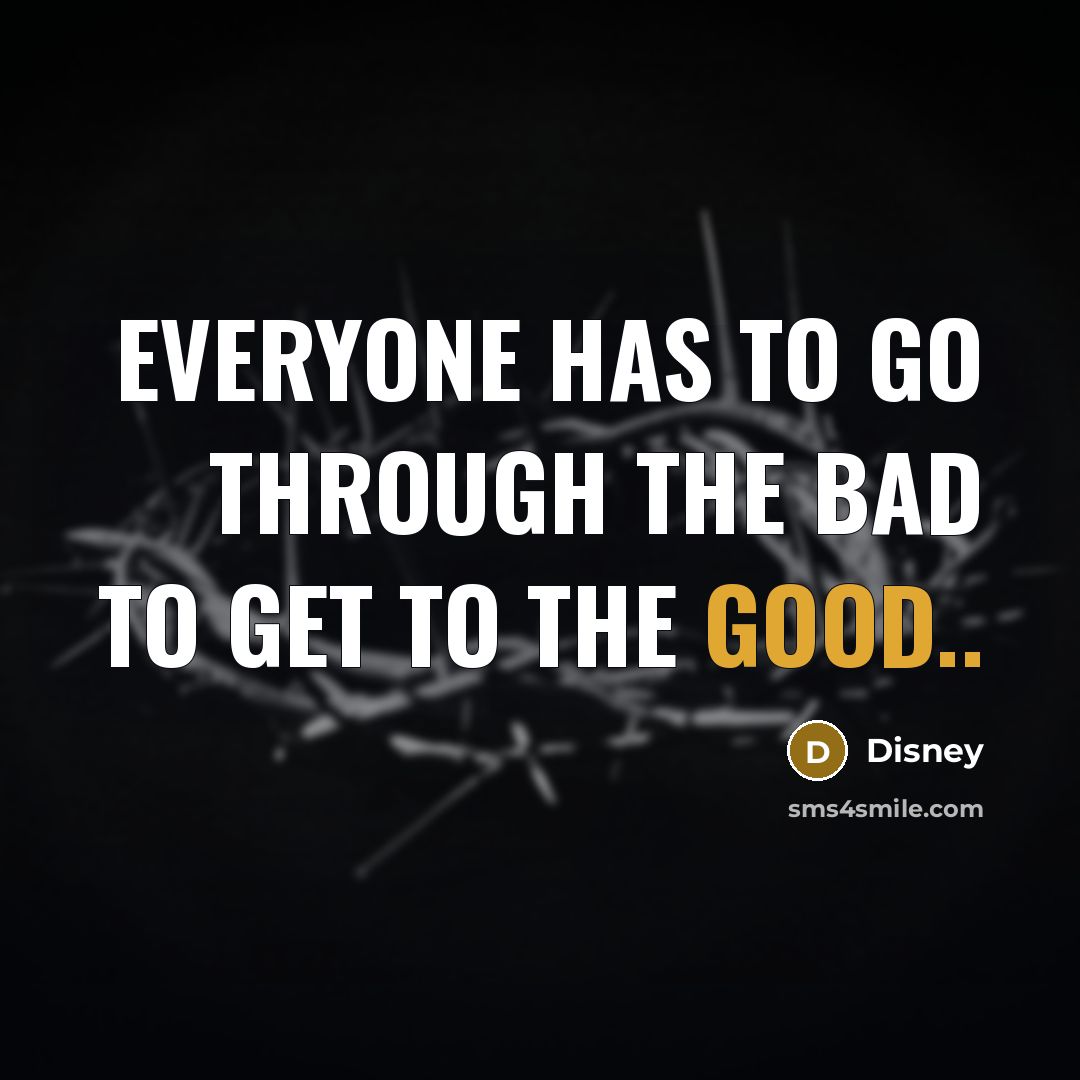 “Everyone has to go through the bad to get to…” quote by Disney