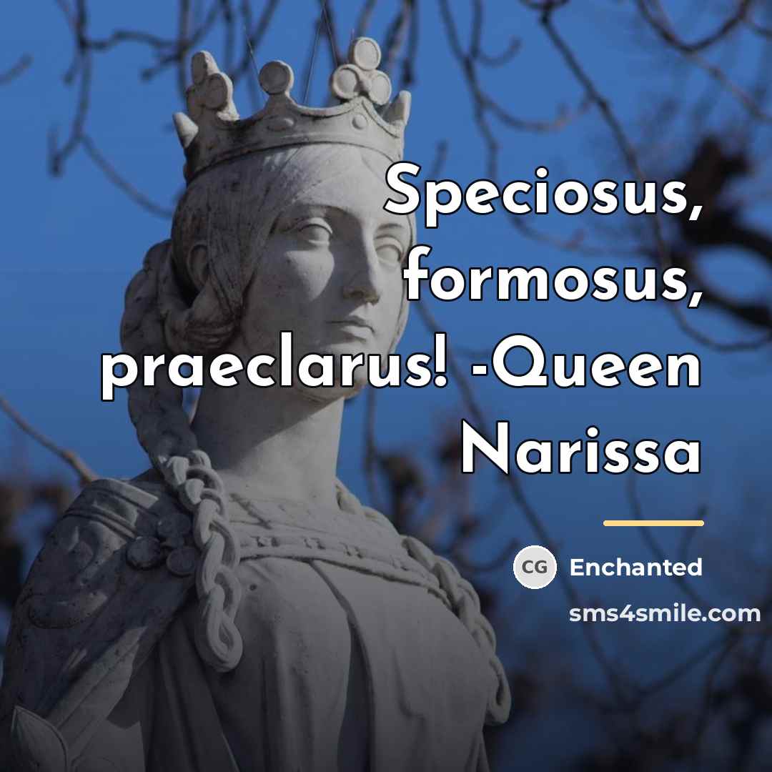 “Speciosus, formosus, praeclarus! -Queen Narissa…” quote by Enchanted