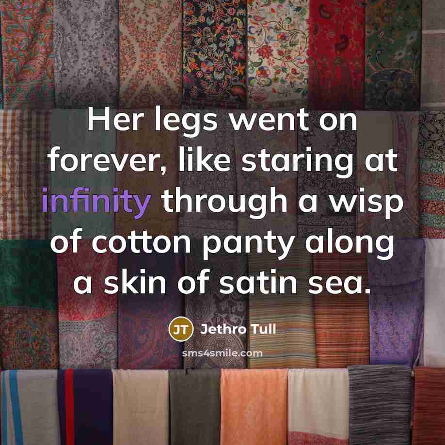 “Her legs went on forever, like staring at infinity through…” quote by Jethro Tull
