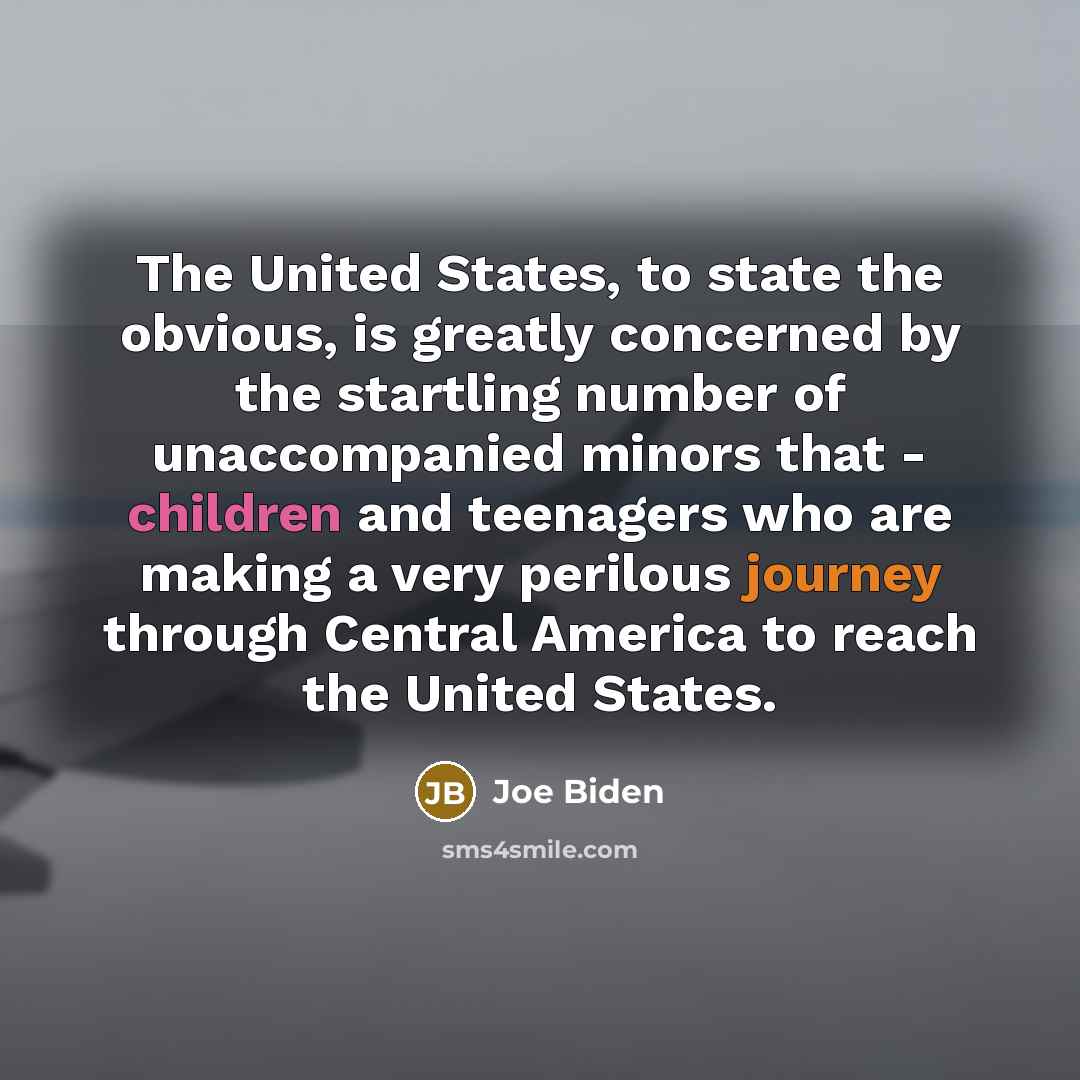 “The United States, to state the obvious, is greatly concerned…” quote by Joe Biden