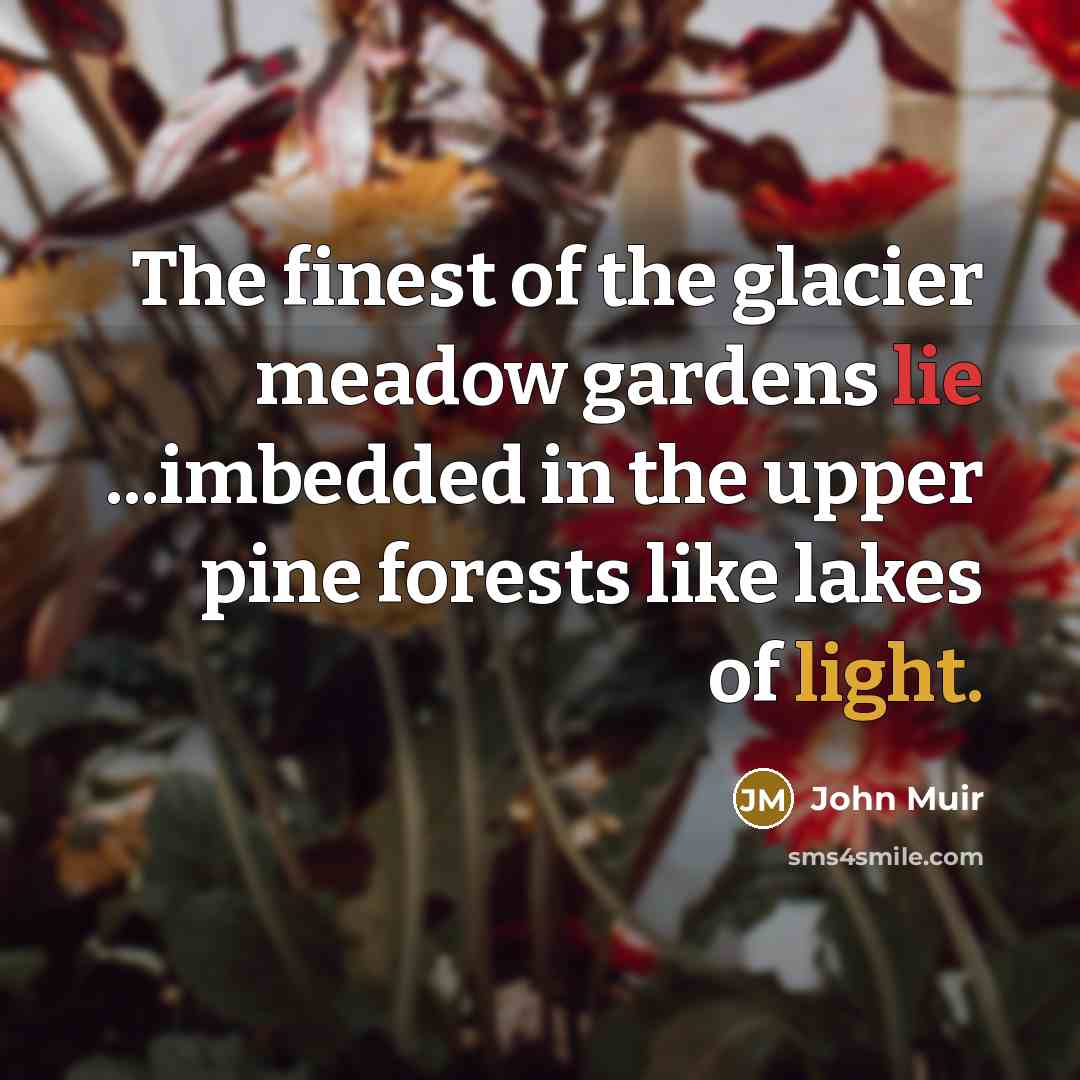 “The finest of the glacier meadow gardens lie ...imbedded in…” quote by John Muir