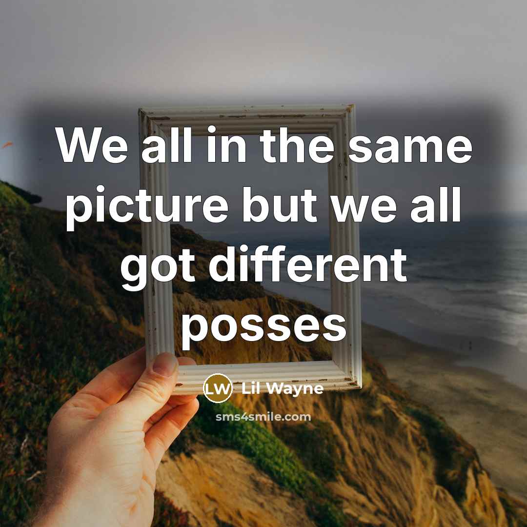 “We all in the same picture but we all got…” quote by Lil Wayne