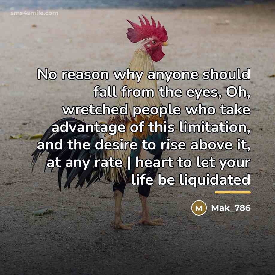 “No reason why anyone should fall from the eyes, Oh,…” quote by Mak_786