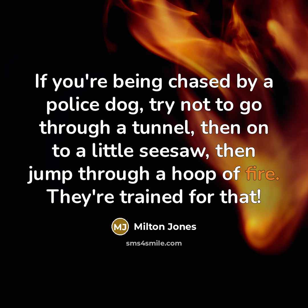 “If you're being chased by a police dog, try not to go through a tunnel, then on to a little seesaw, then jump through a hoop of fire. They're trained for that!” quote by Milton Jones