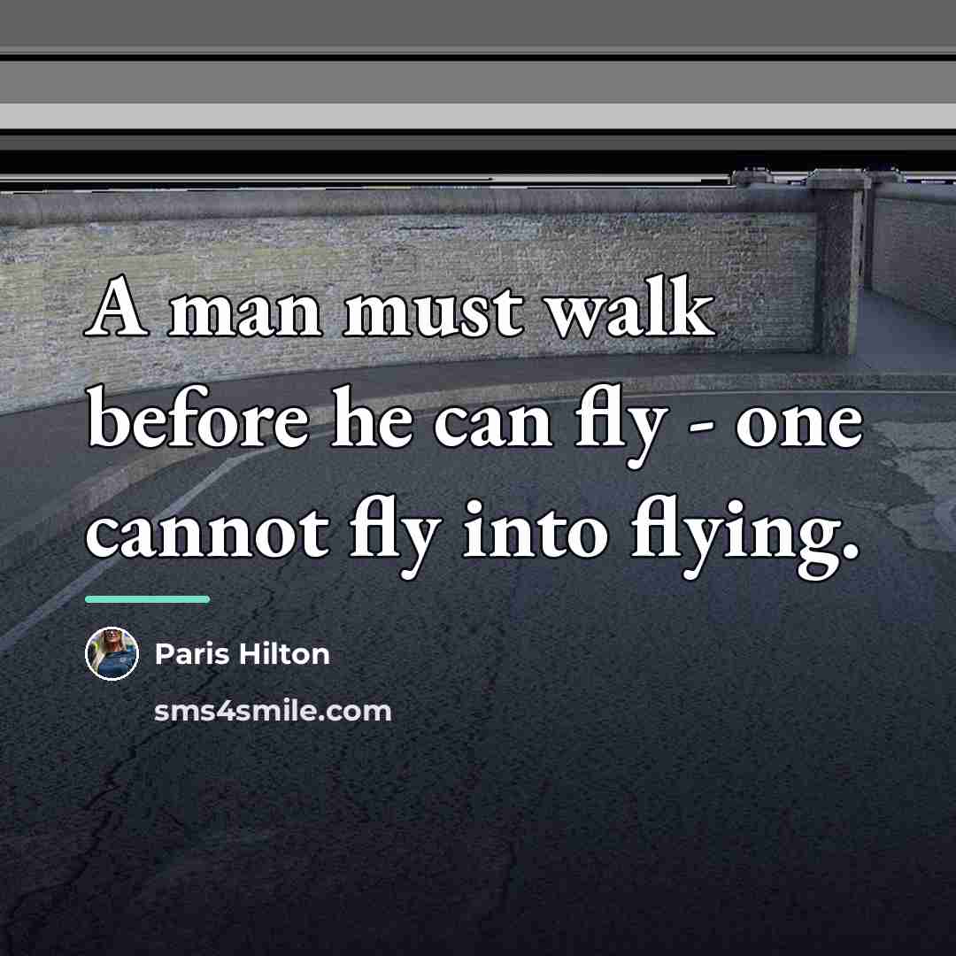 “A man must walk before he can fly - one…” quote by Paris Hilton