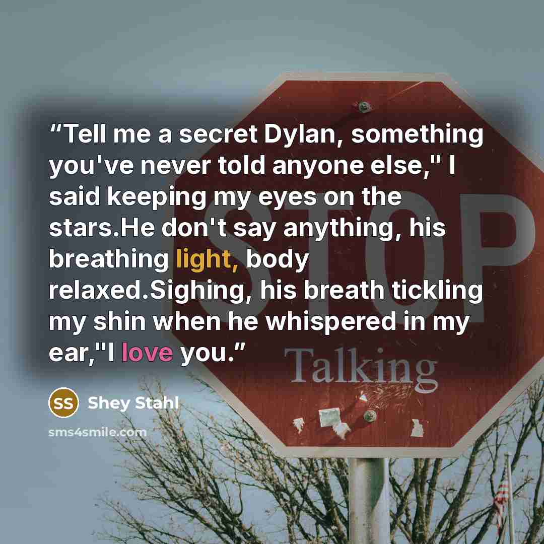 “Tell me a secret Dylan, something you've never told anyone else," I said keeping my eyes on the stars.He don't say anything, his breathing light, body relaxed.Sighing, his breath tickling my shin when he whispered in my ear,"I love you.” quote by Shey Stahl