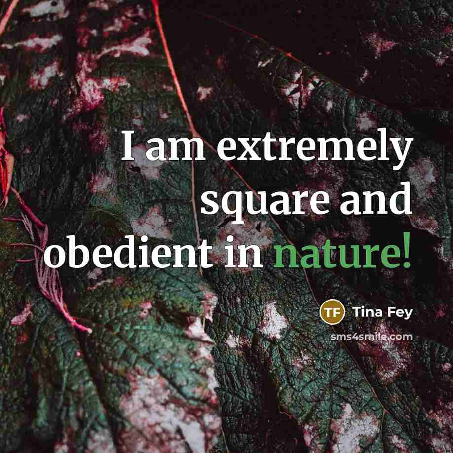 “I am extremely square and obedient in nature!…” quote by Tina Fey