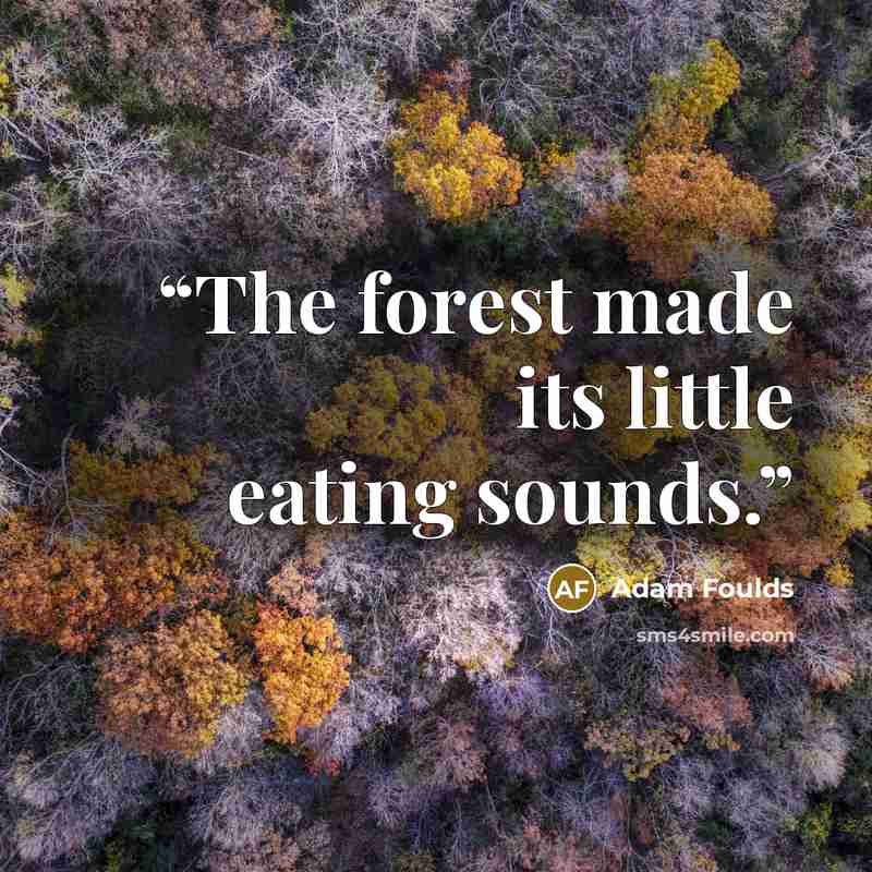 “The forest made its little eating sounds.” quote by Adam Foulds