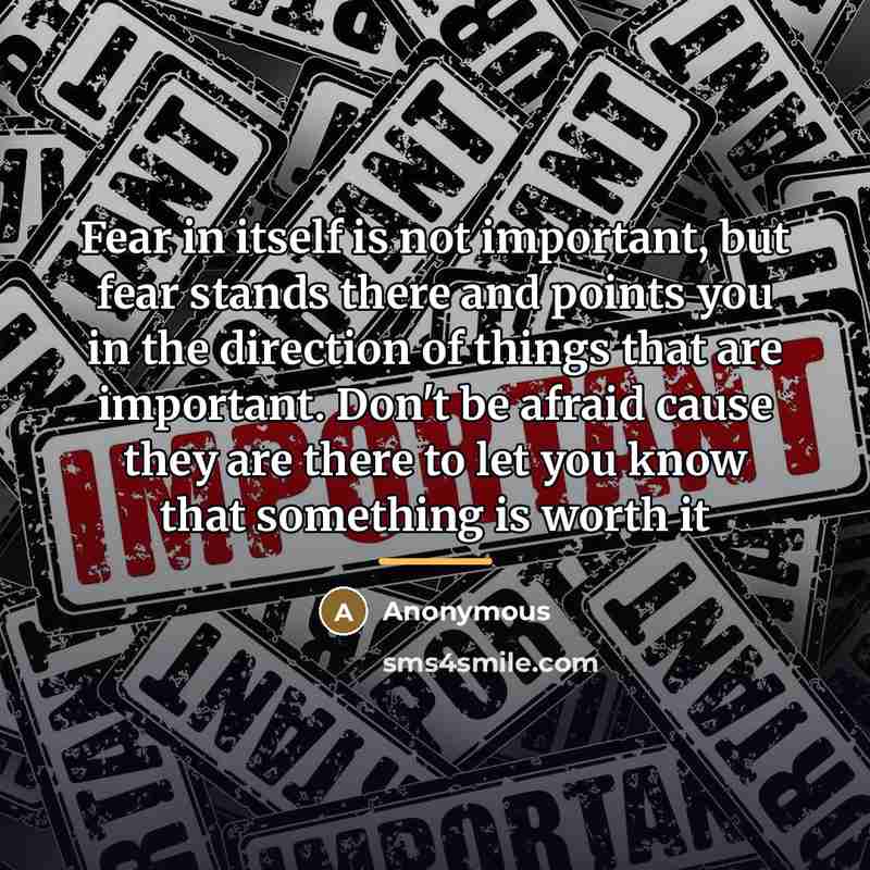 “Fear in itself is not important, but fear stands there…” quote by Anonymous