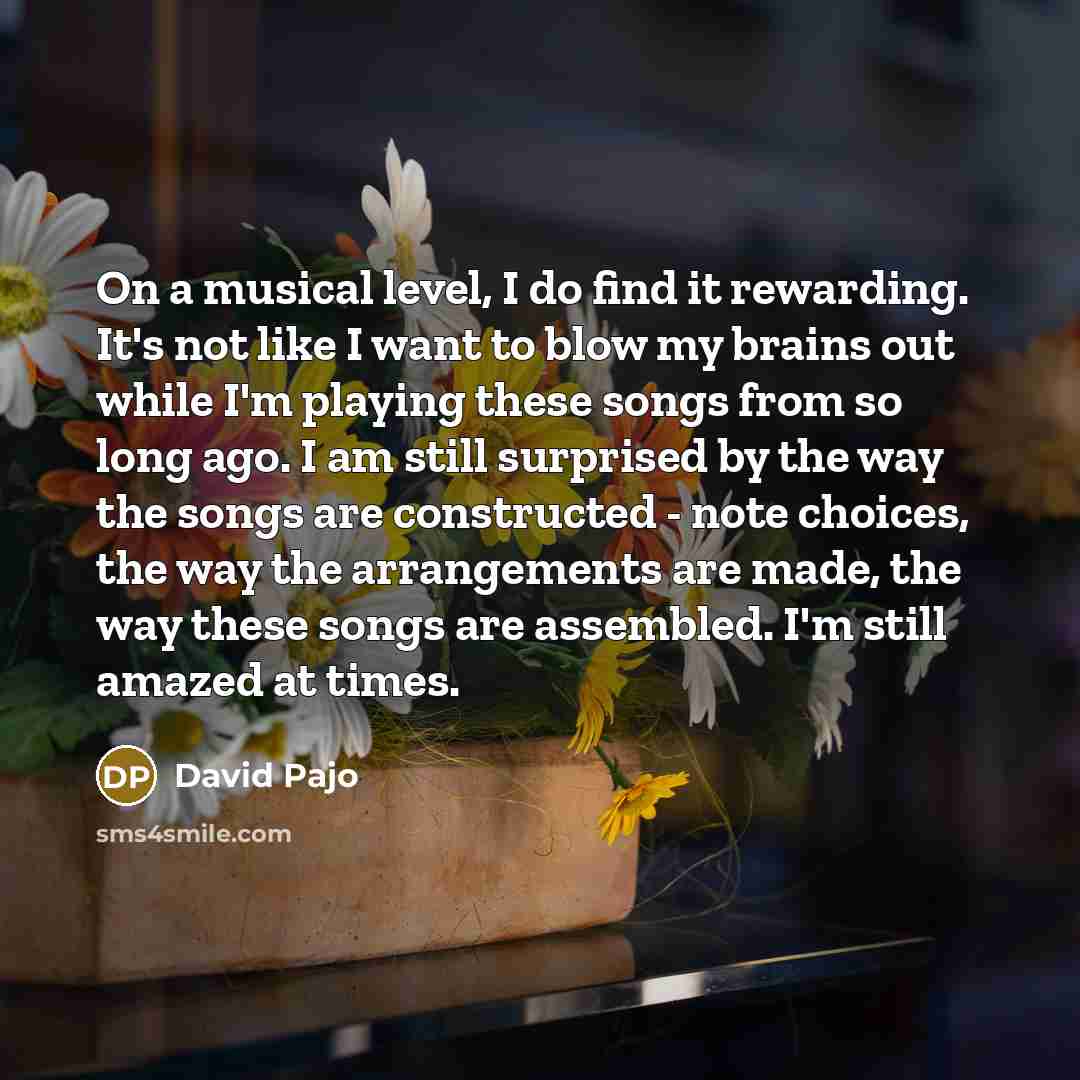 “On a musical level, I do find it rewarding. It's…” quote by David Pajo