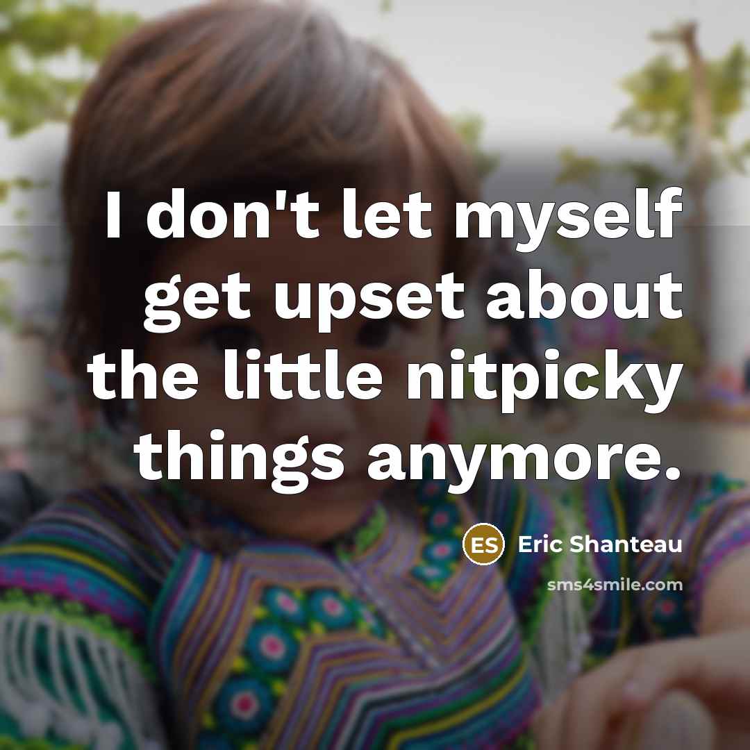 “I don't let myself get upset about the little nitpicky…” quote by Eric Shanteau