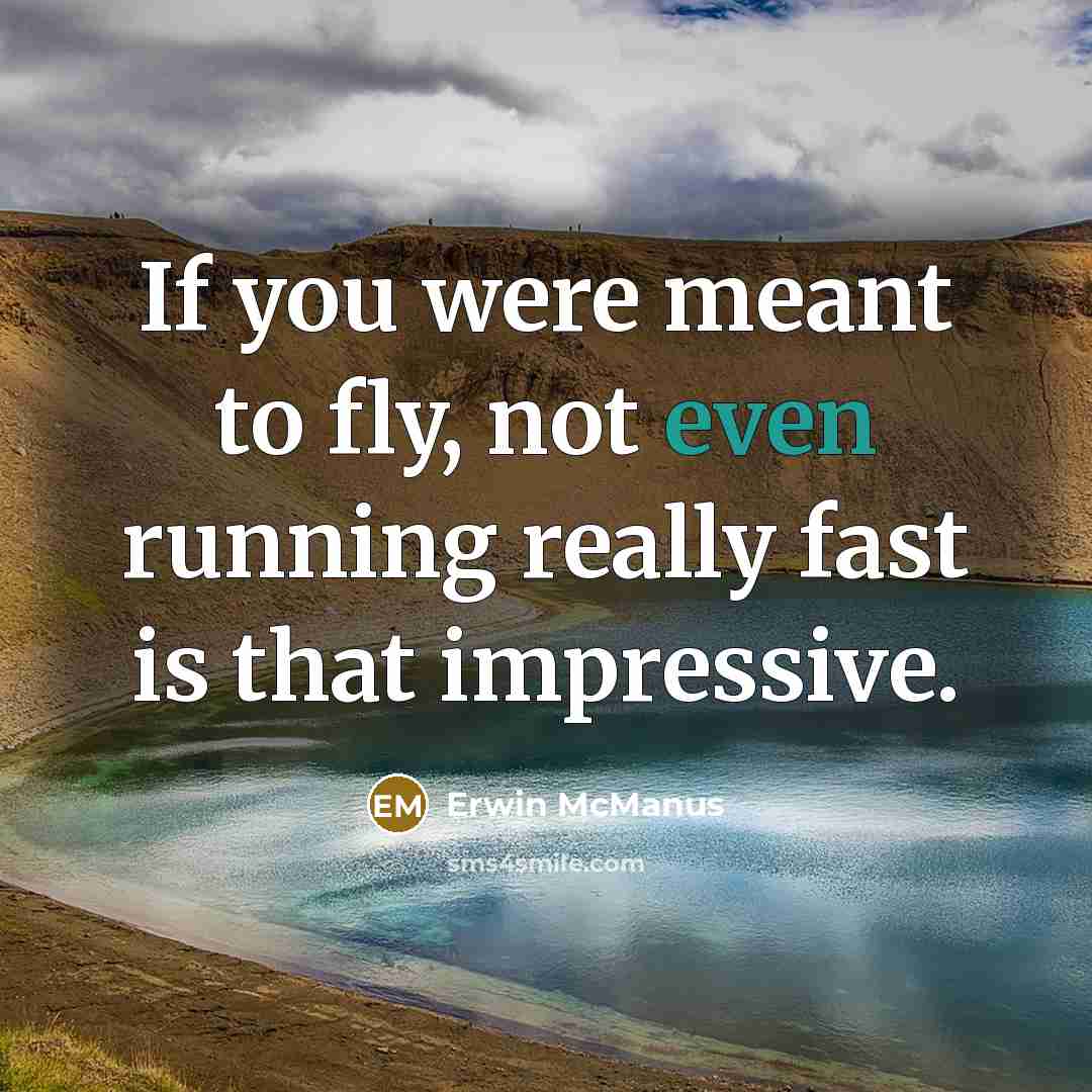 “If you were meant to fly, not even running really…” quote by Erwin McManus