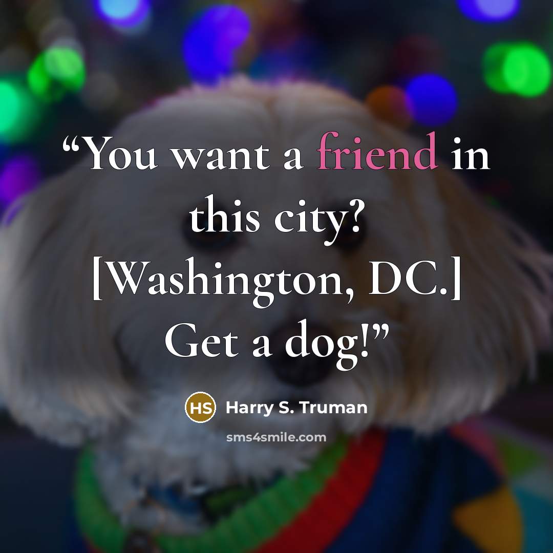 “You want a friend in this city? [Washington, DC.] Get a dog!” quote by Harry S. Truman