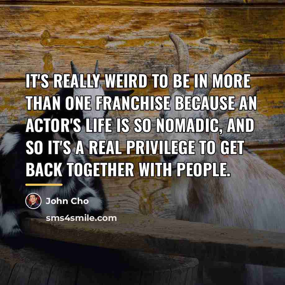 “It's really weird to be in more than one franchise…” quote by John Cho