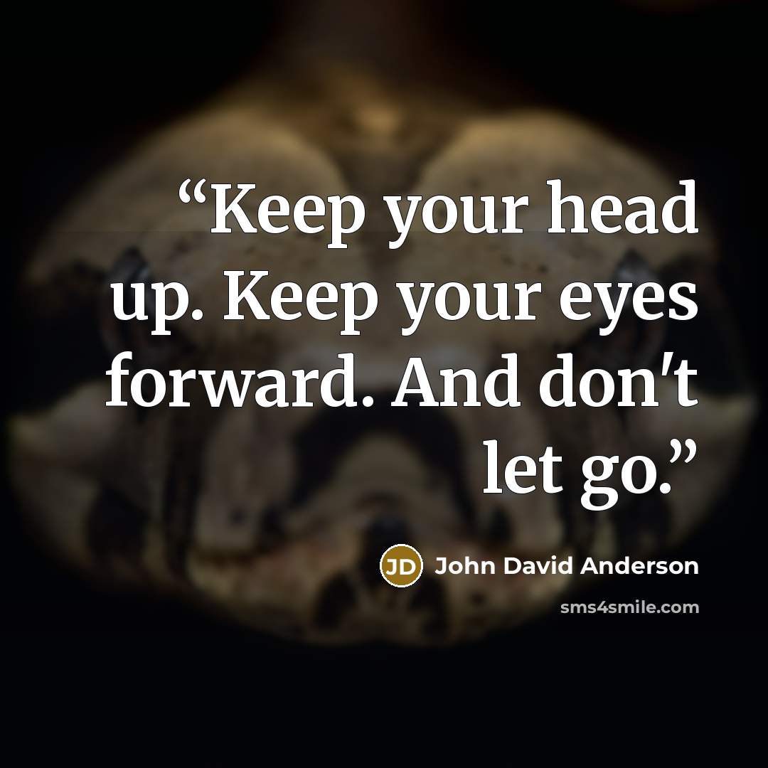 “Keep your head up. Keep your eyes forward. And don't let go.” quote by John David Anderson