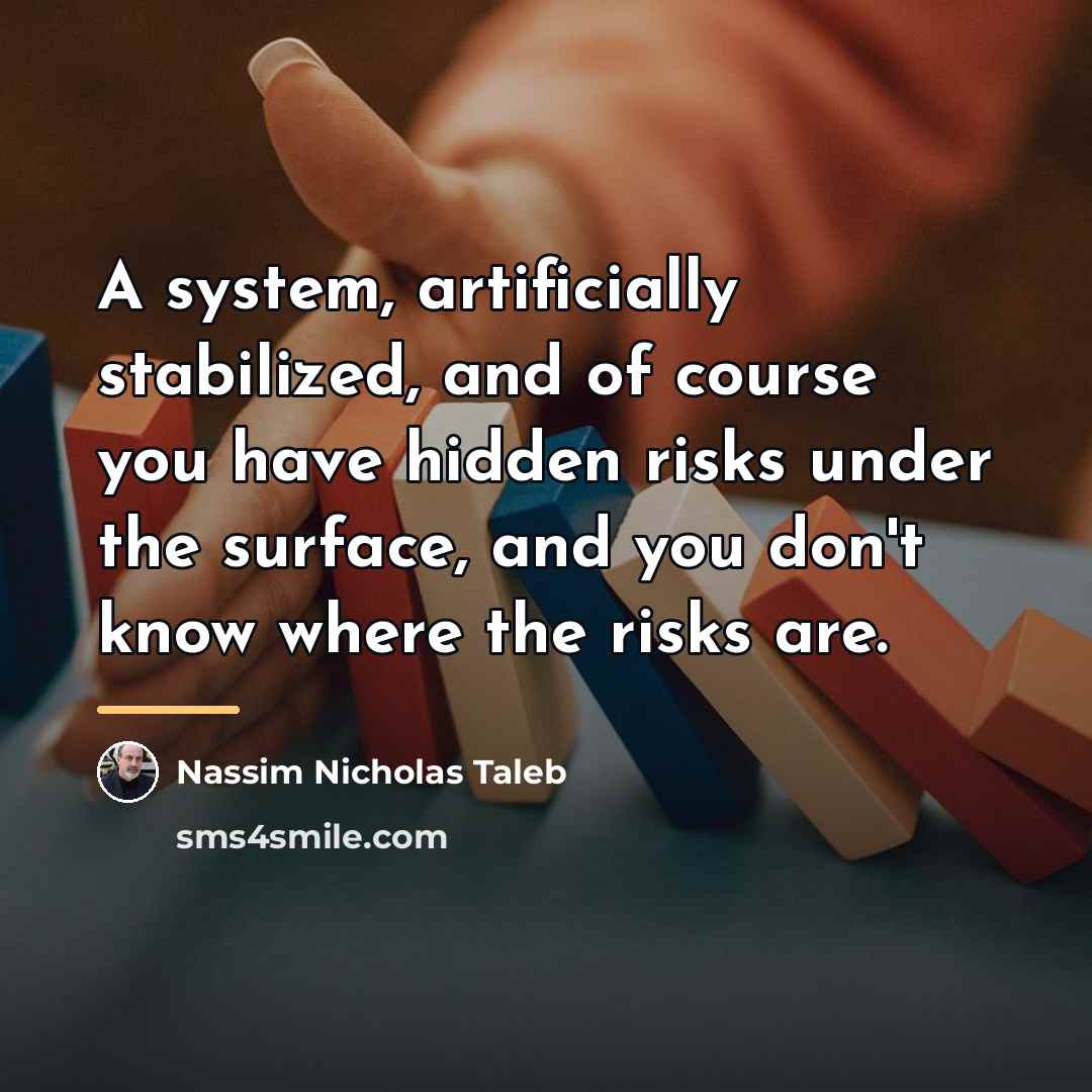 “A system, artificially stabilized, and of course you have hidden…” quote by Nassim Nicholas Taleb