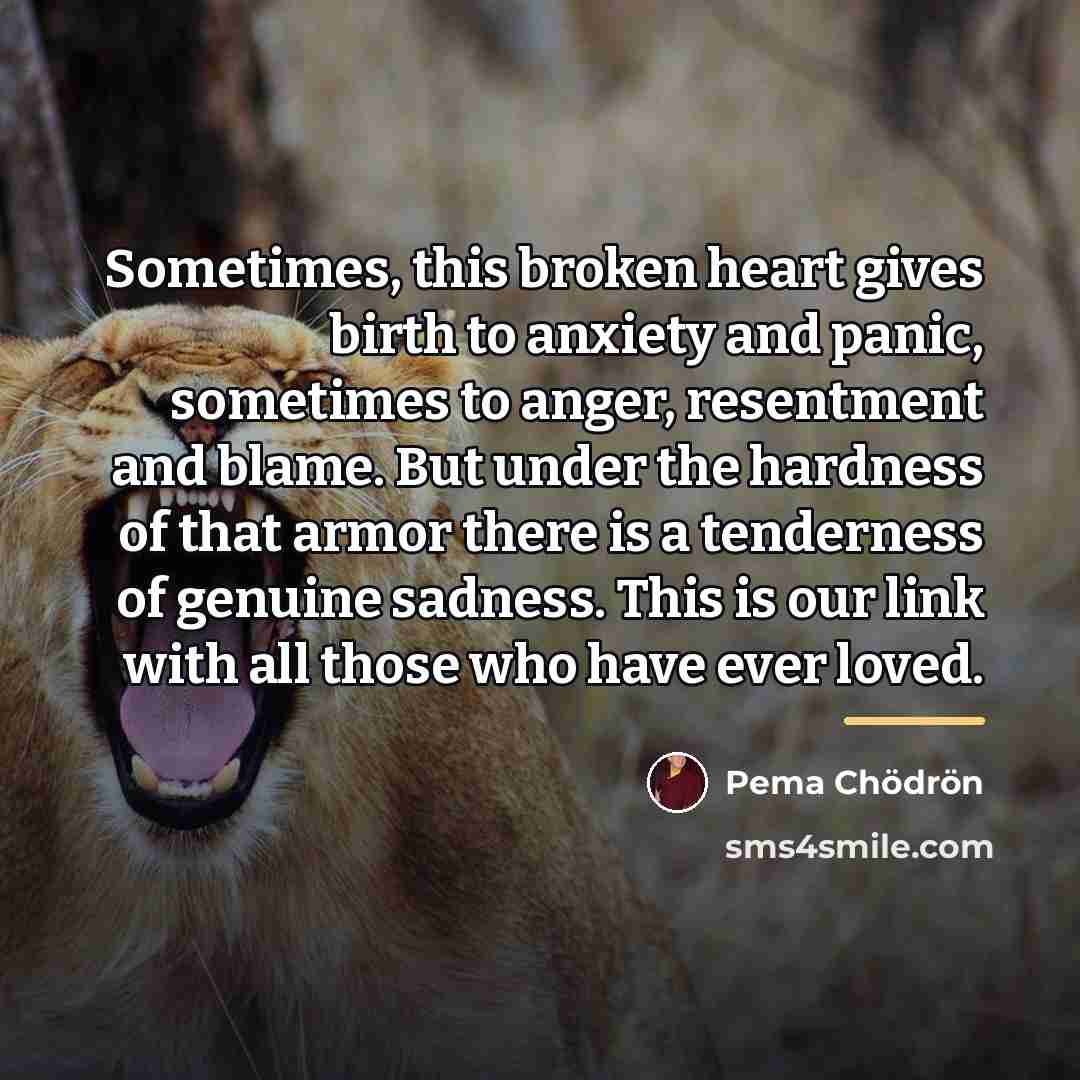 “Sometimes, this broken heart gives birth to anxiety and panic,…” quote by Pema Chodron
